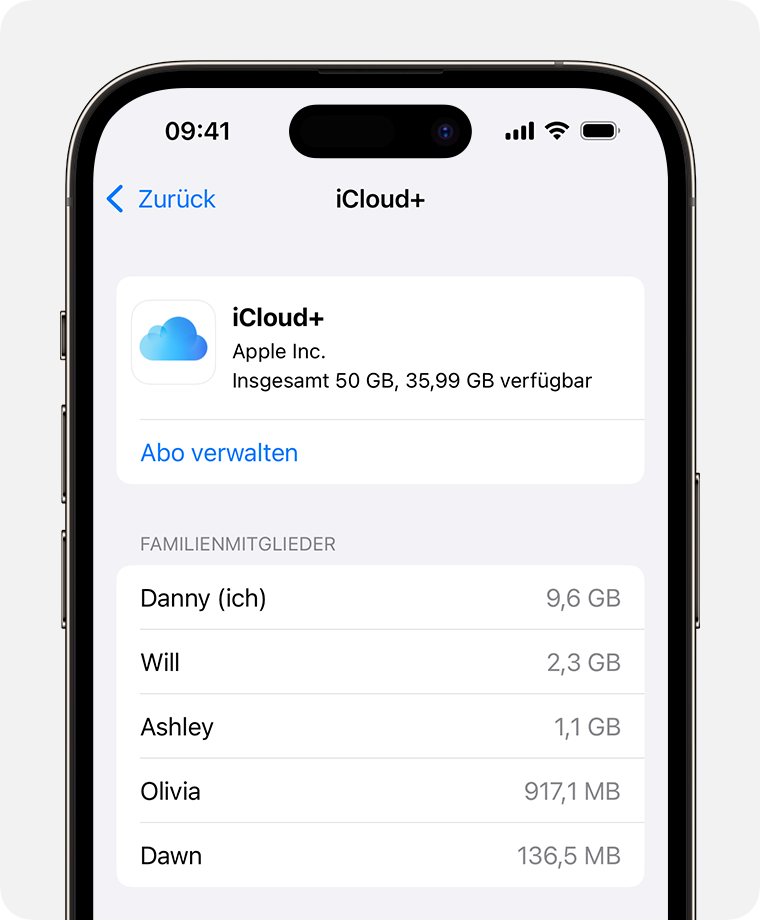 ios-17-iphone-14-pro-settings-family-subscriptions-icloud-plus