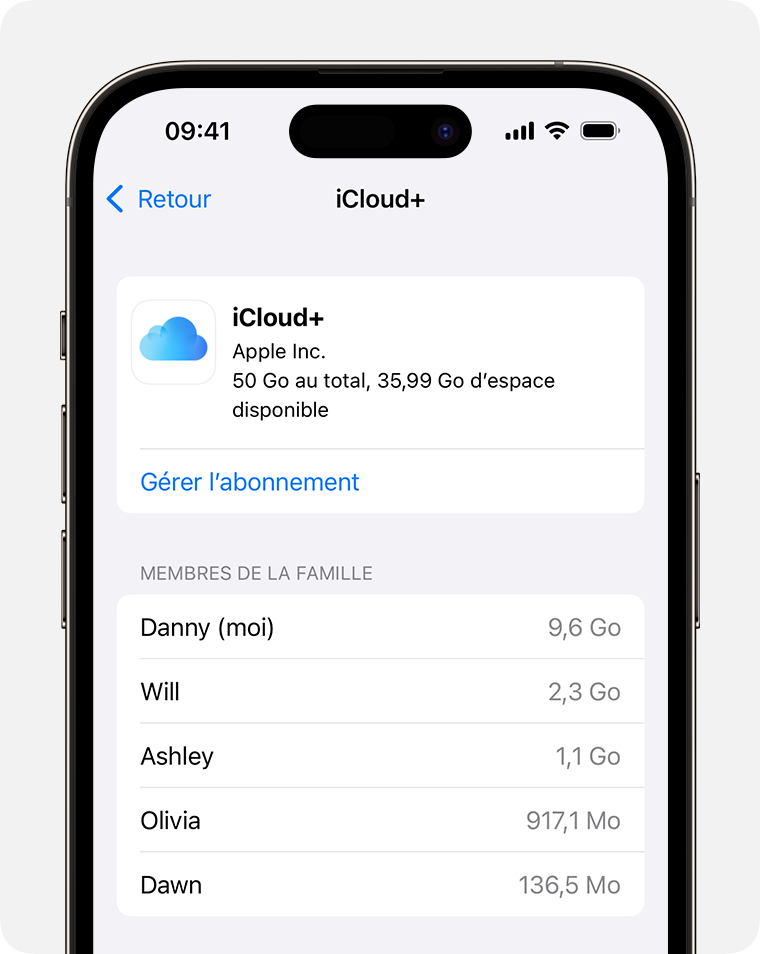 ios-17-iphone-14-pro-settings-family-subscriptions-icloud-plus