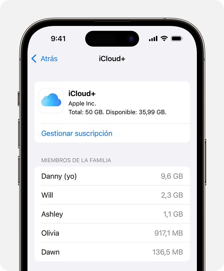 ios-17-iphone-14-pro-settings-family-subscriptions-icloud-plus