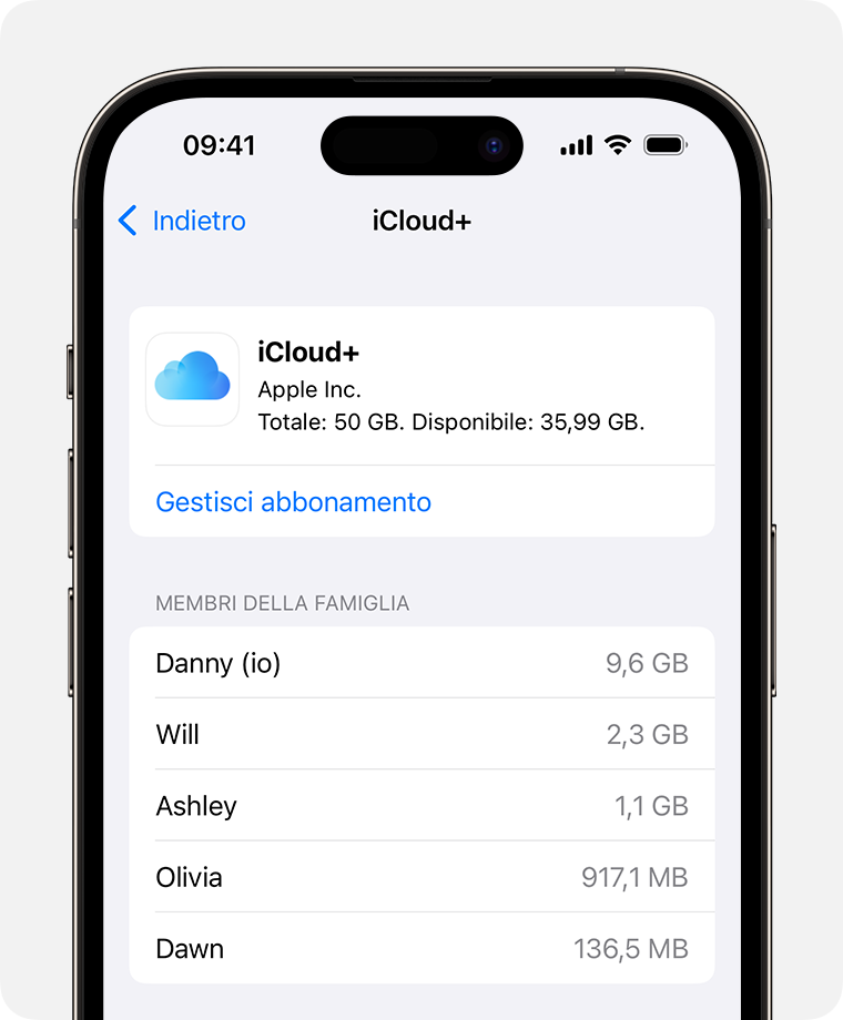 ios-17-iphone-14-pro-settings-family-subscriptions-icloud-plus