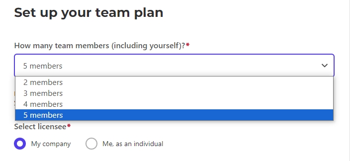 Upgrade to the Envato Elements Teams plan